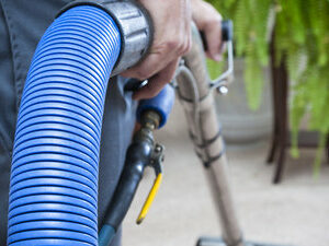 Read more about the article Professional Carpet Cleaning in Ventura, California