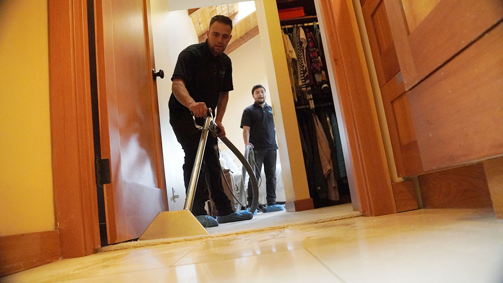 Kelly Cleaning's Carpet Deep Clean Service