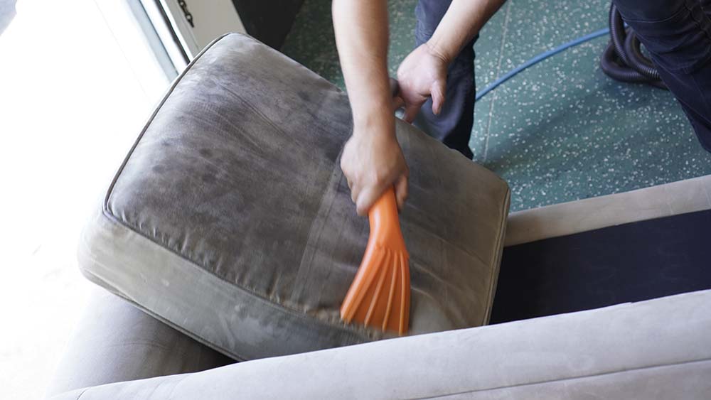professional couch cleaning service