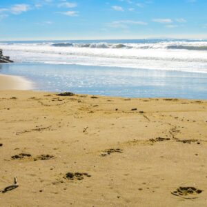 Read more about the article Upholstery Cleaning Major Win! Battling Beach Tar In Ventura County