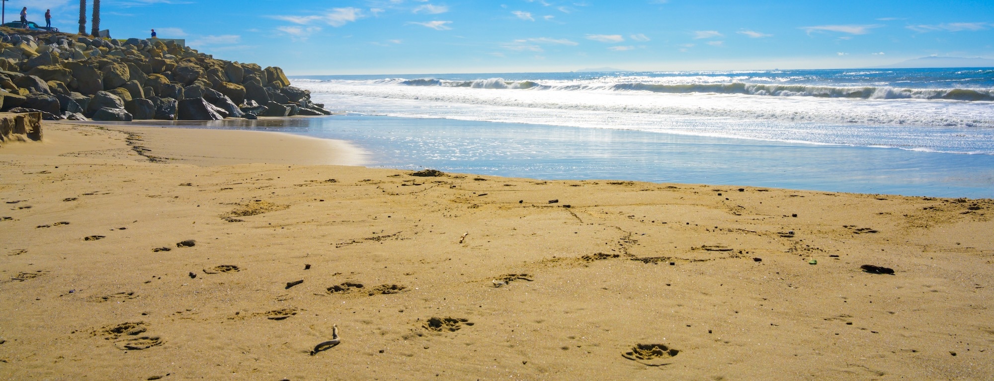 Read more about the article Battling Beach Tar: A Ventura County Cleaning Saga