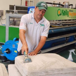 Professional Upholstery Cleaning in Santa Barbara