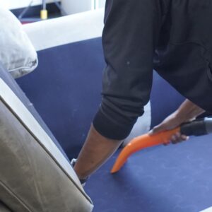 professional upholstery cleaning in Camarillo